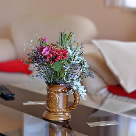 Golubic Apartment